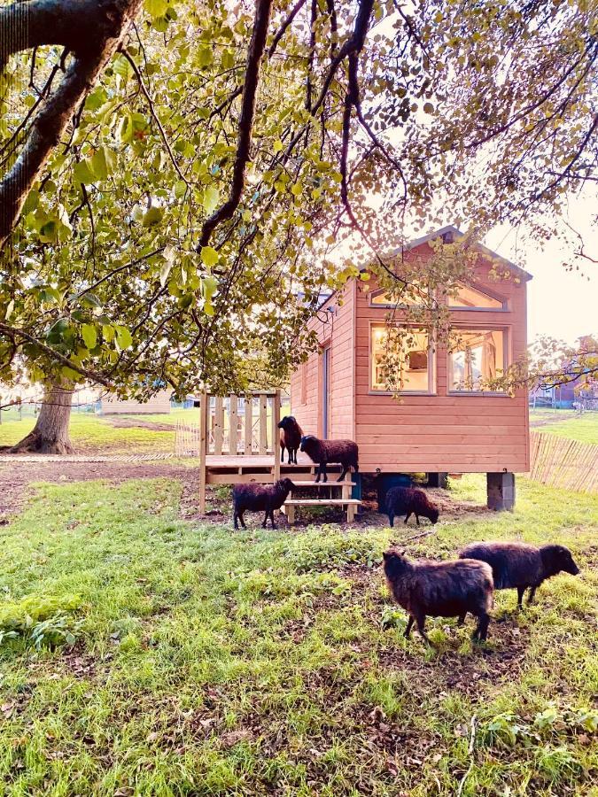 Jolie Tiny House Sous Les Grands Arbres Villa Cholet Luaran gambar