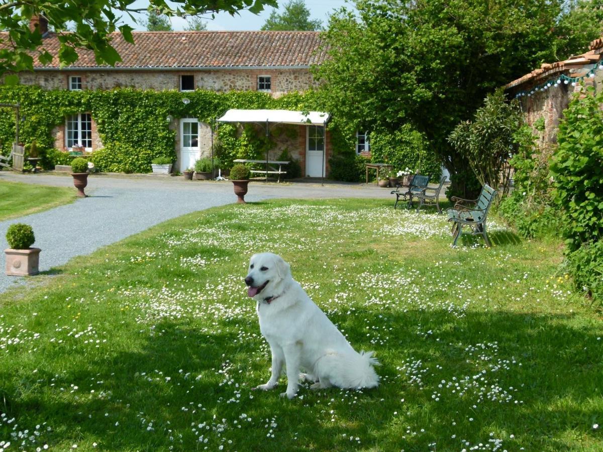 Jolie Tiny House Sous Les Grands Arbres Villa Cholet Luaran gambar
