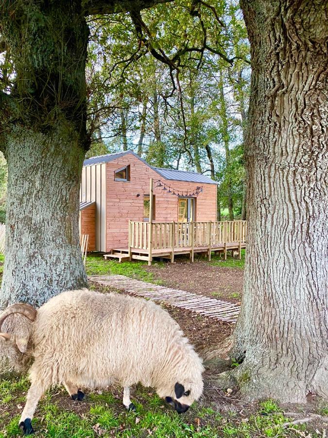Jolie Tiny House Sous Les Grands Arbres Villa Cholet Luaran gambar