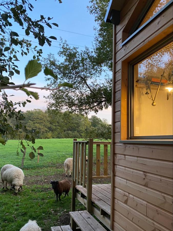 Jolie Tiny House Sous Les Grands Arbres Villa Cholet Luaran gambar