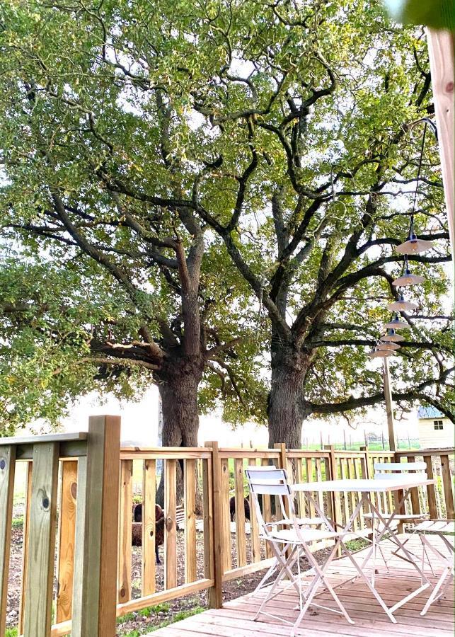 Jolie Tiny House Sous Les Grands Arbres Villa Cholet Luaran gambar